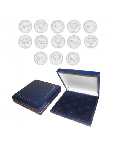 ARRAS ACERO PLATEADO + ESTUCHE - 22MM