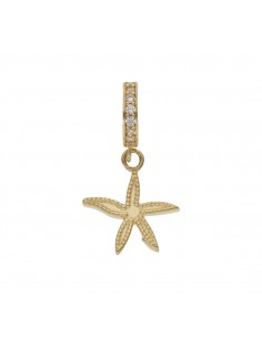 CHARMS COLGANTE ESTRELLA...