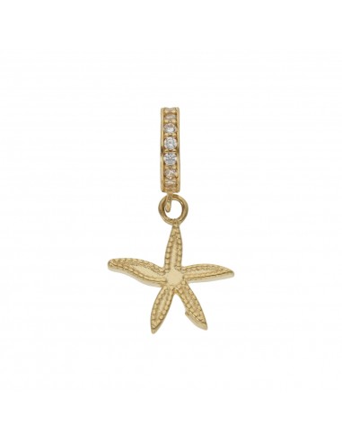 CHARMS COLGANTE ESTRELLA ORO 18KL